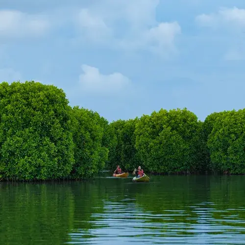 Kayaking